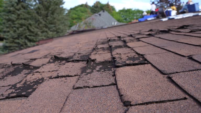 Skylights in Brackenridge, PA